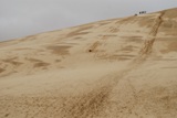 катание с дюн