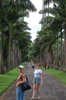 пальмовая алея